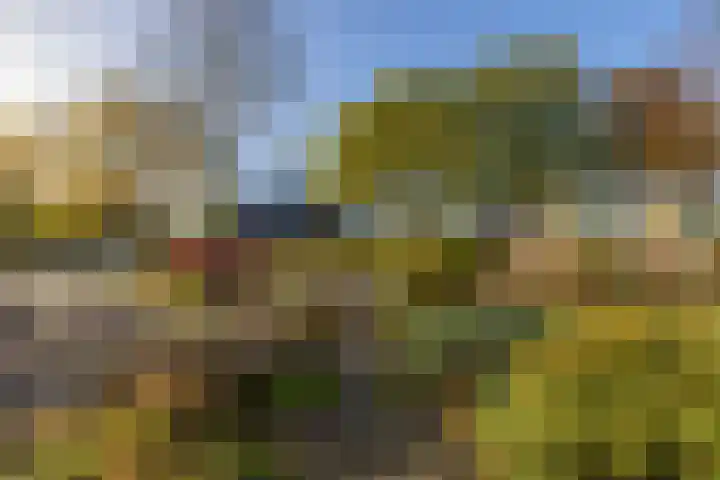 Van Harinxmastrjitte 22 Kootstertille thumbnail 5