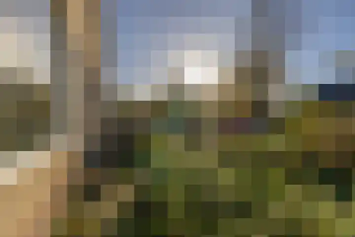 Van Harinxmastrjitte 22 Kootstertille thumbnail 9