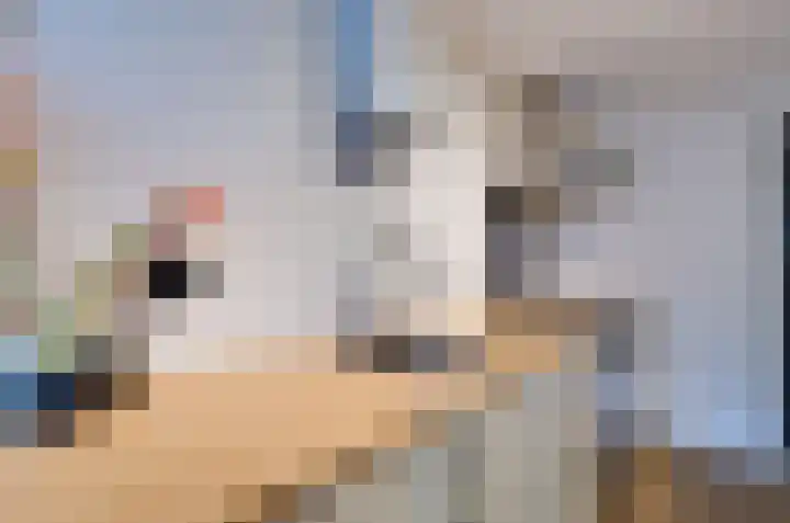 Van Harinxmastrjitte 32 Kootstertille thumbnail 13