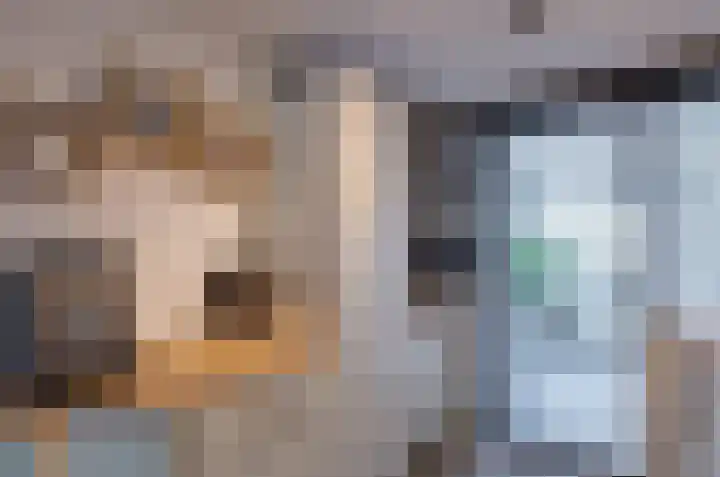 Van Harinxmastrjitte 32 Kootstertille thumbnail 14