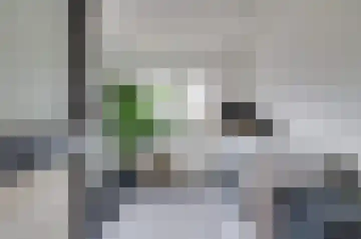 Van Harinxmastrjitte 32 Kootstertille thumbnail 15