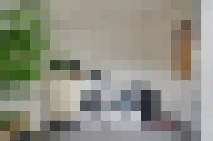 Van Harinxmastrjitte 32 Kootstertille thumbnail 16