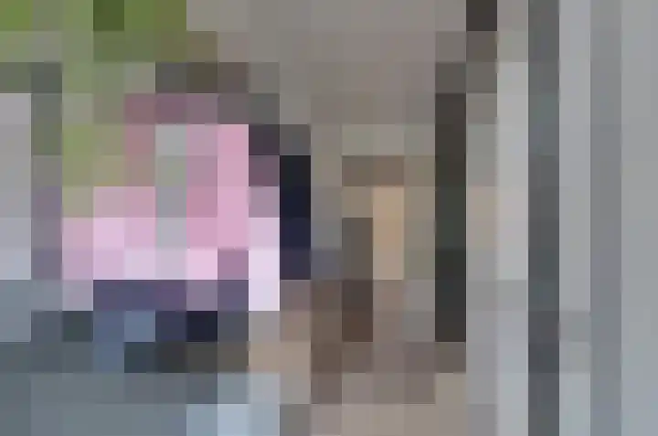 Van Harinxmastrjitte 32 Kootstertille thumbnail 18