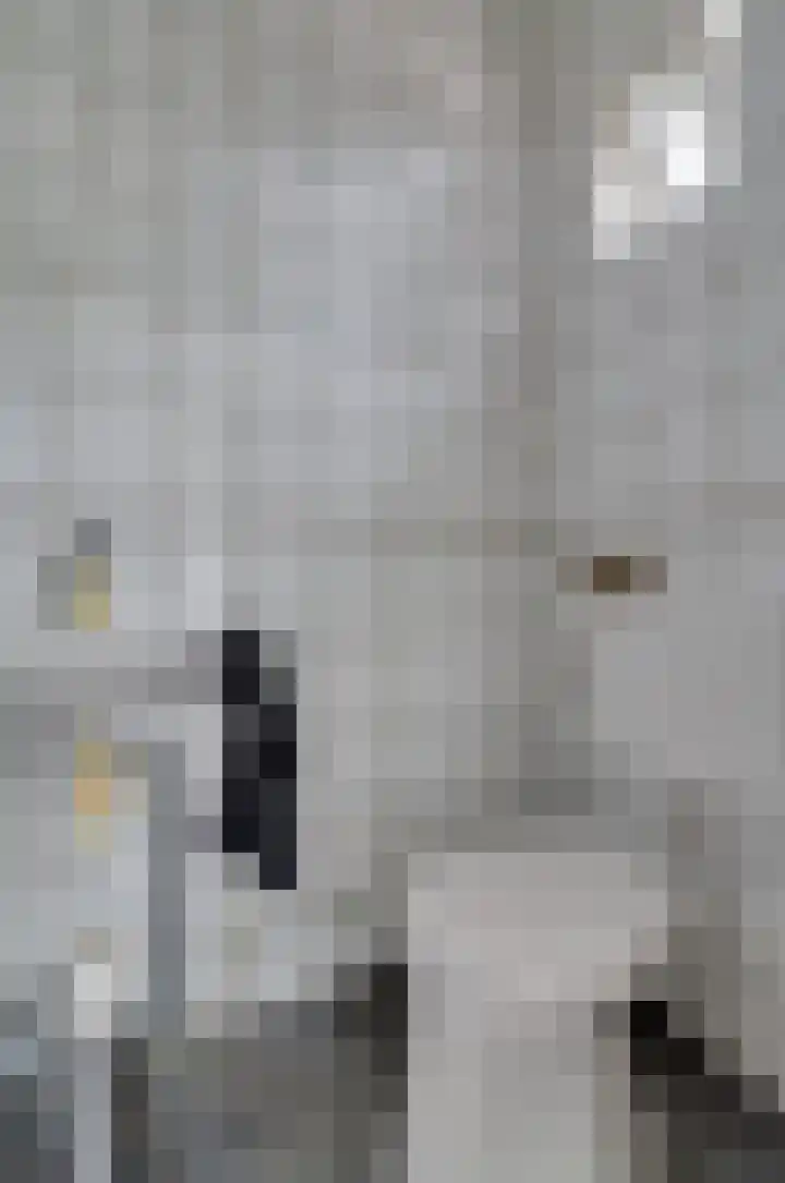 Van Harinxmastrjitte 32 Kootstertille thumbnail 19