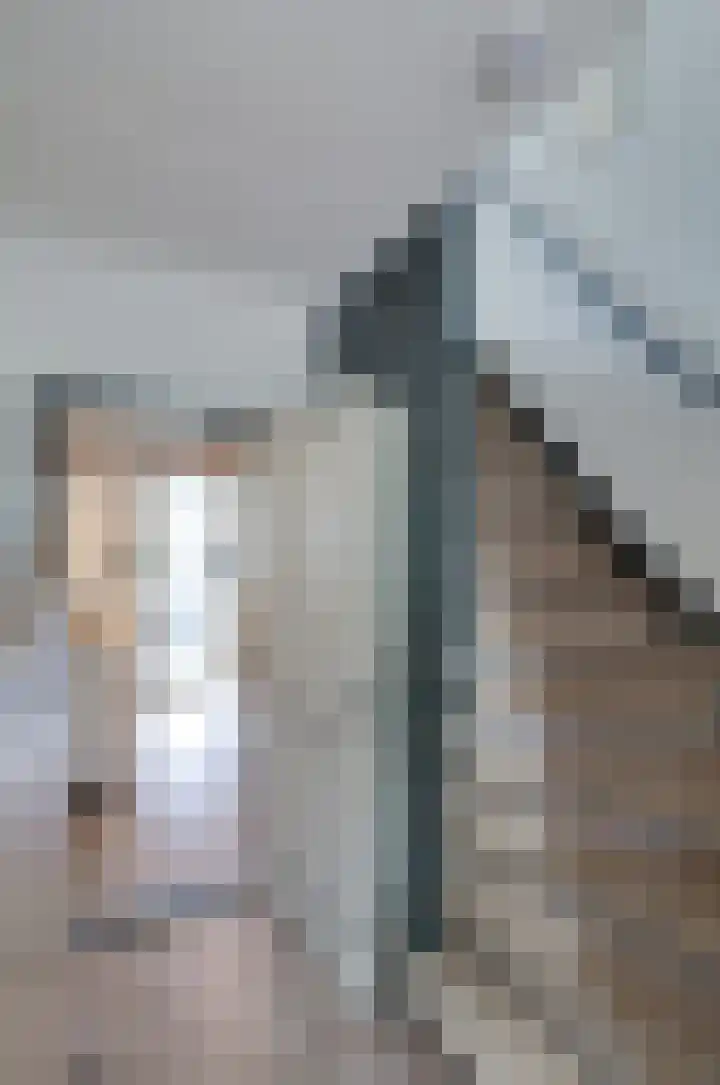Van Harinxmastrjitte 32 Kootstertille thumbnail 20