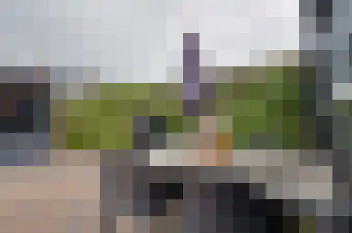 Van Harinxmastrjitte 32 Kootstertille thumbnail 33