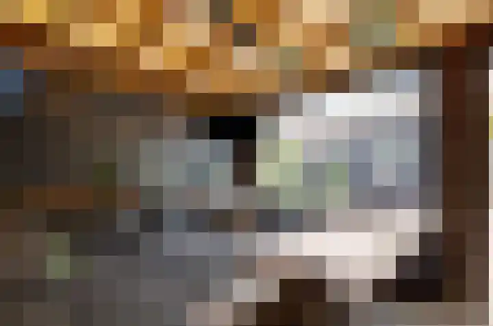 Van Harinxmastrjitte 32 Kootstertille thumbnail 38