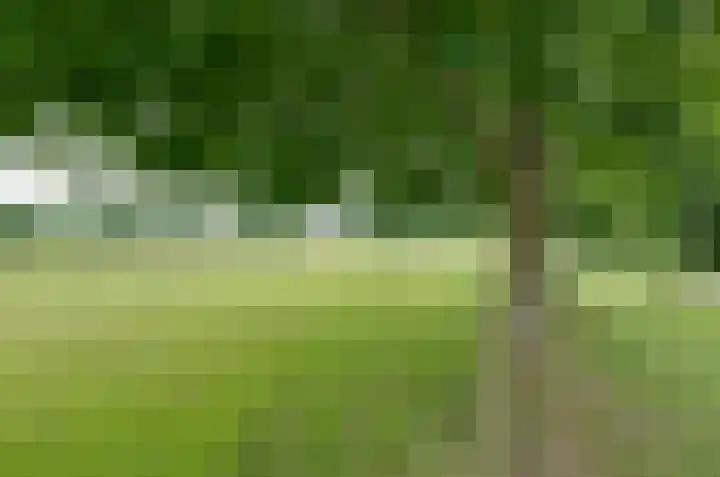 Van Harinxmastrjitte 32 Kootstertille thumbnail 40