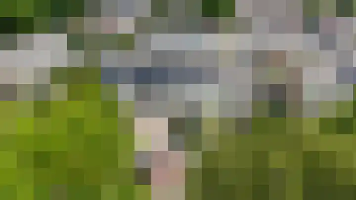 Van Harinxmastrjitte 32 Kootstertille thumbnail 44
