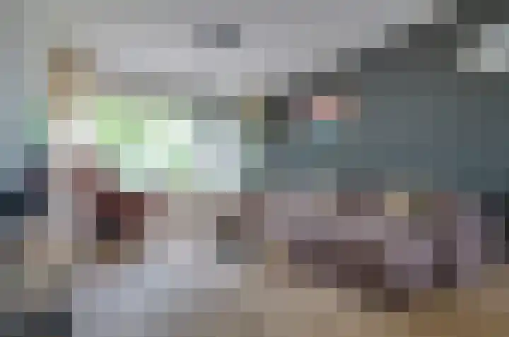 Van Harinxmastrjitte 32 Kootstertille thumbnail 5