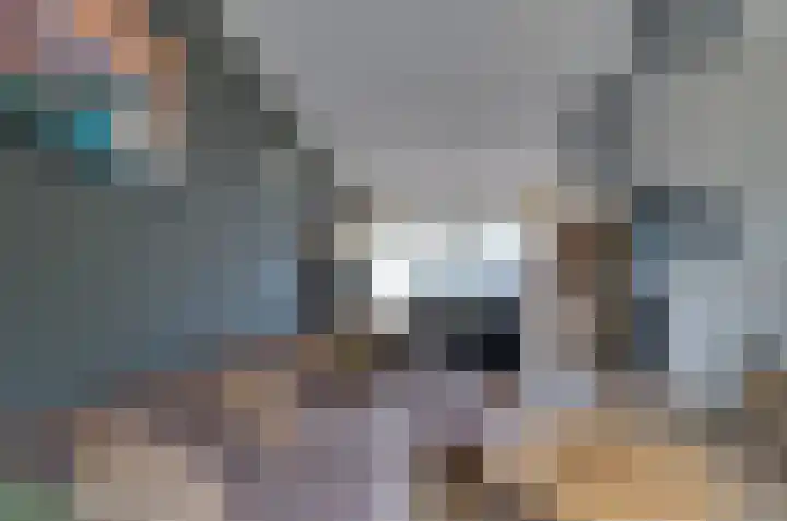 Van Harinxmastrjitte 32 Kootstertille thumbnail 6