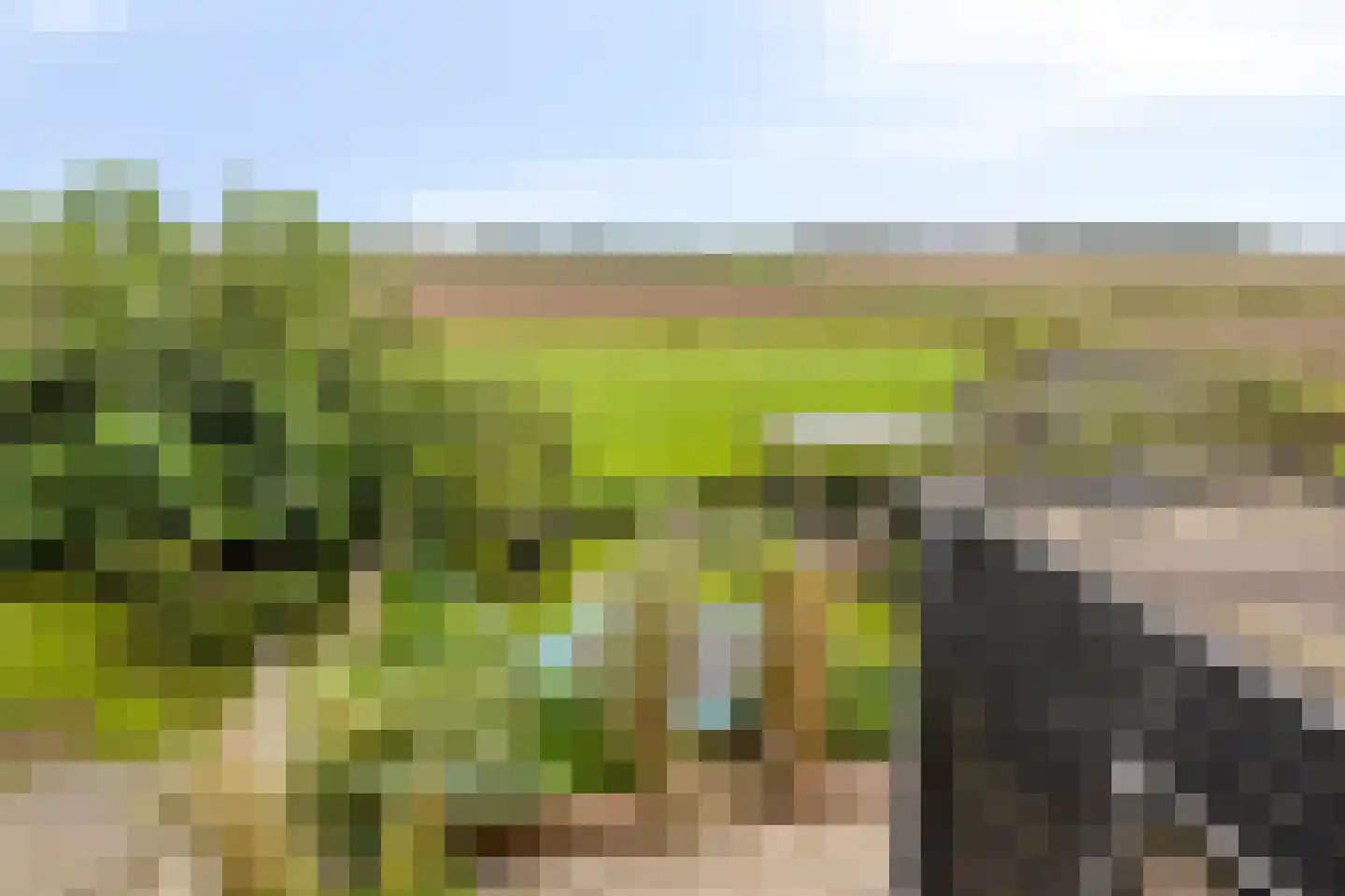 Van Harinxmastrjitte 34 Ternaard thumbnail 23