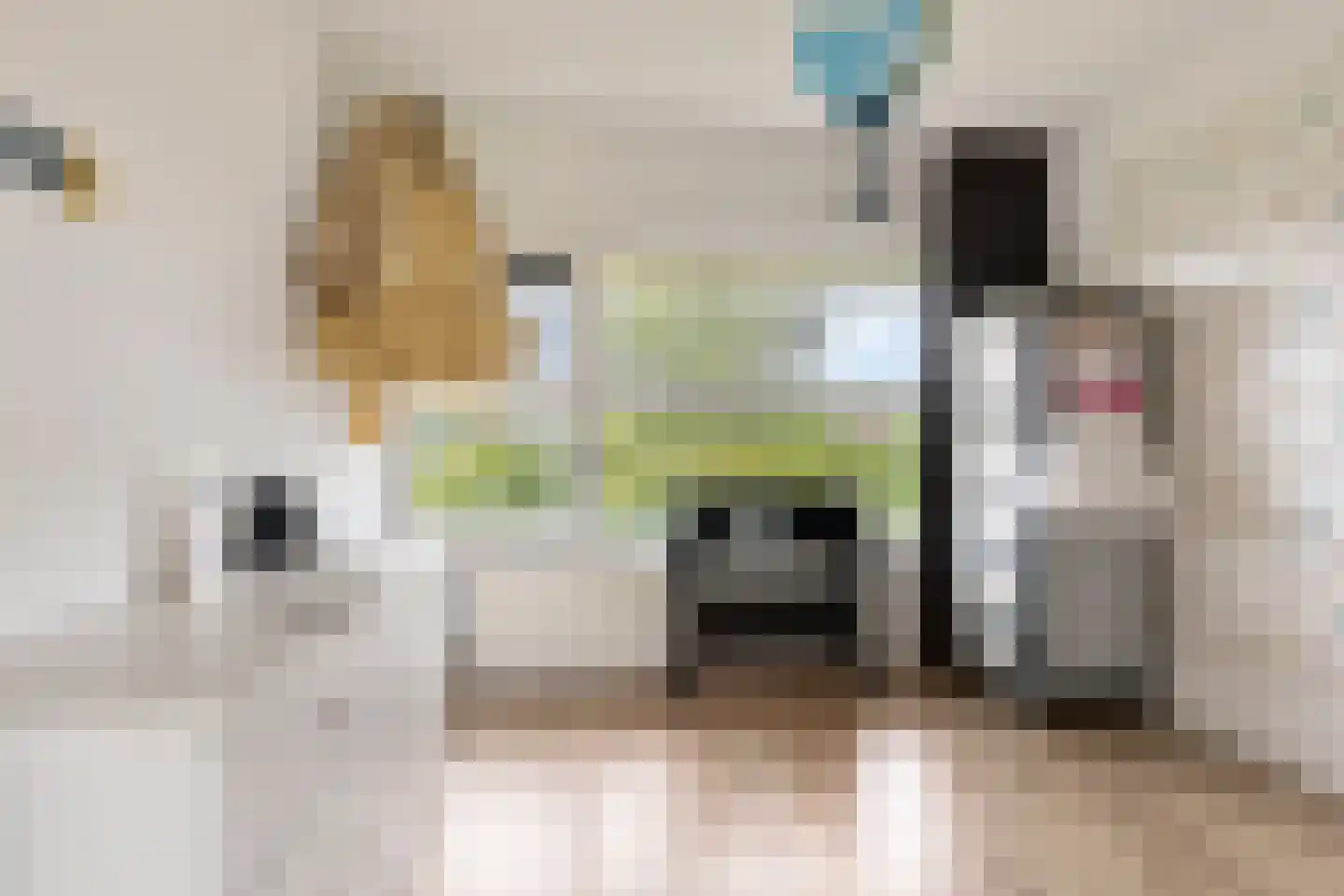 Van Harinxmastrjitte 34 Ternaard thumbnail 27