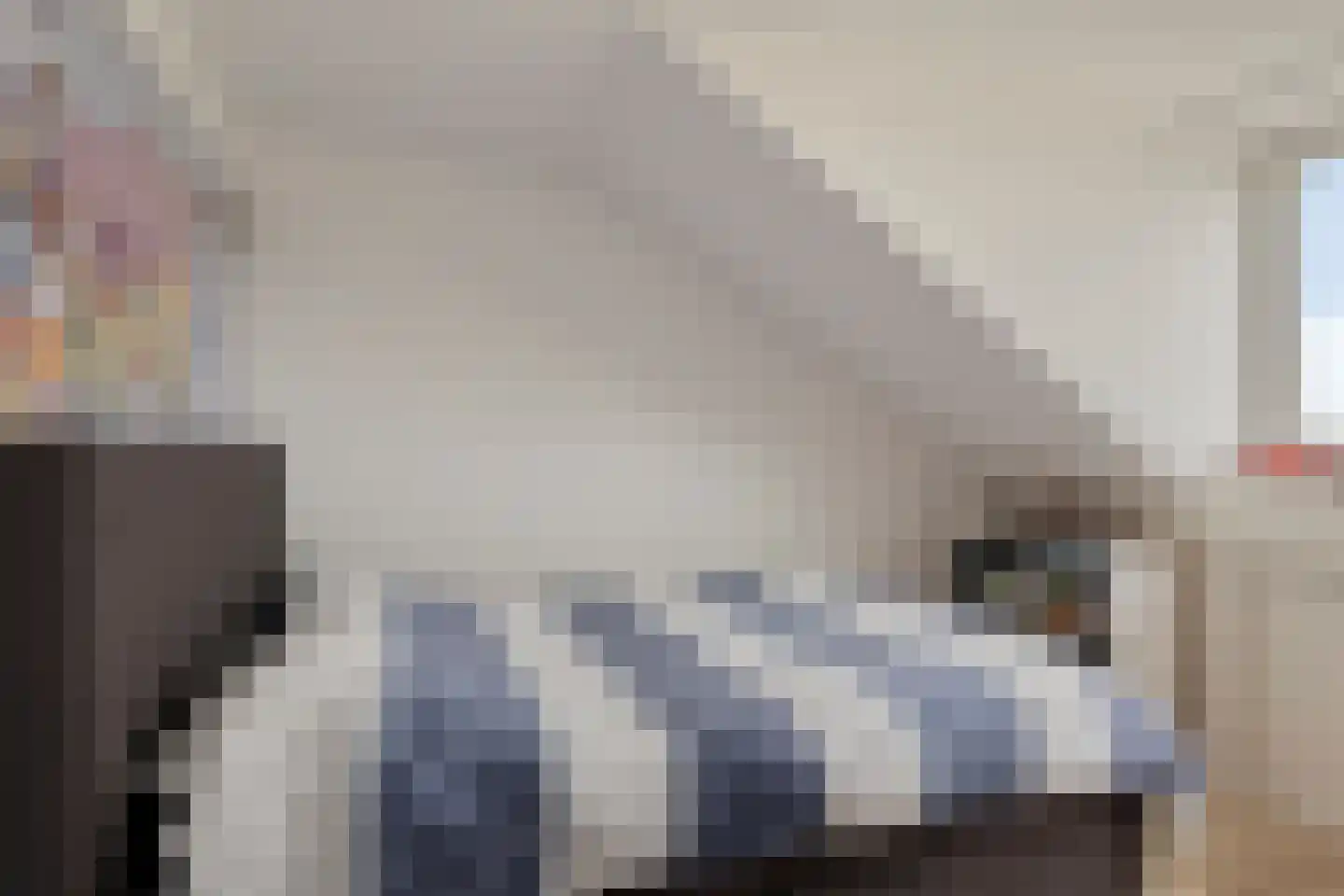 Van Harinxmastrjitte 34 Ternaard thumbnail 29