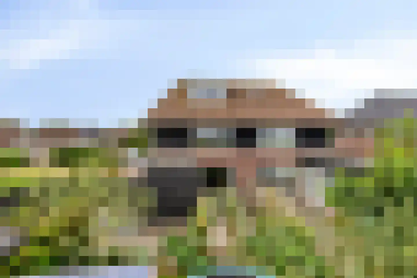 Van Harinxmastrjitte 34 Ternaard thumbnail 32