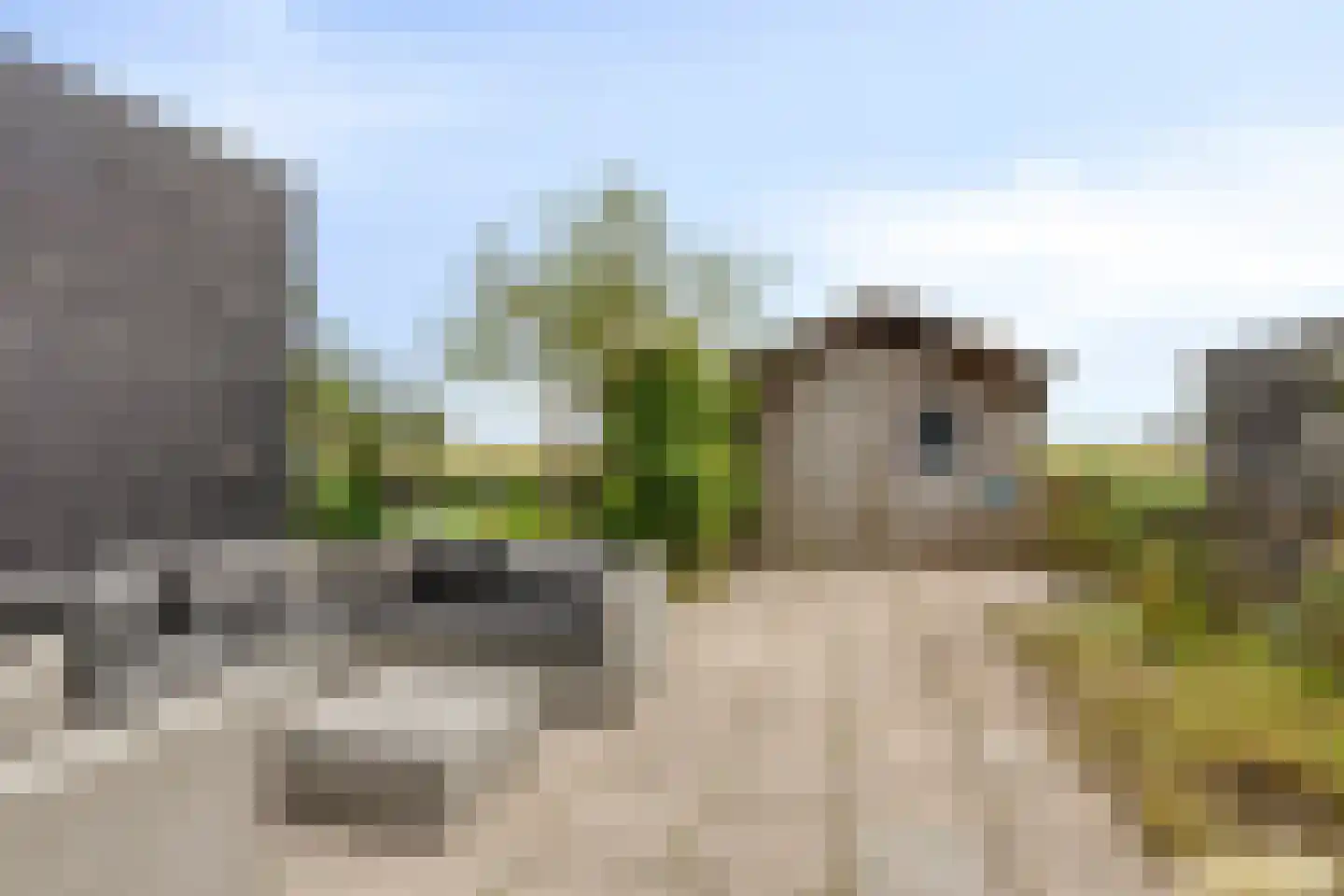 Van Harinxmastrjitte 34 Ternaard thumbnail 38