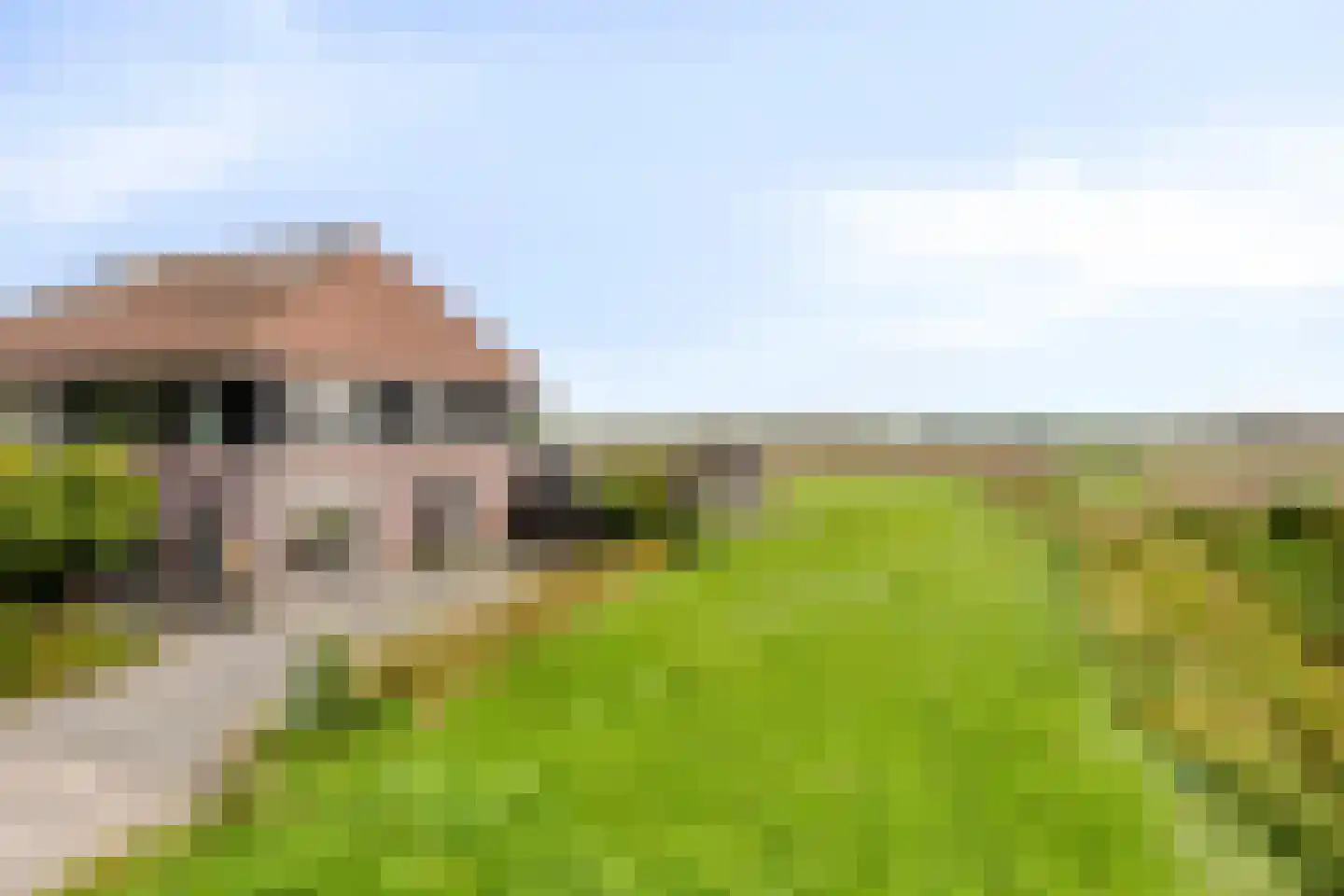 Van Harinxmastrjitte 34 Ternaard thumbnail 6