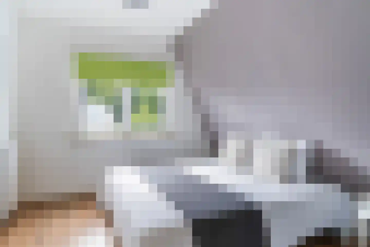 Van Harinxmastrjitte 8 Kootstertille thumbnail 37