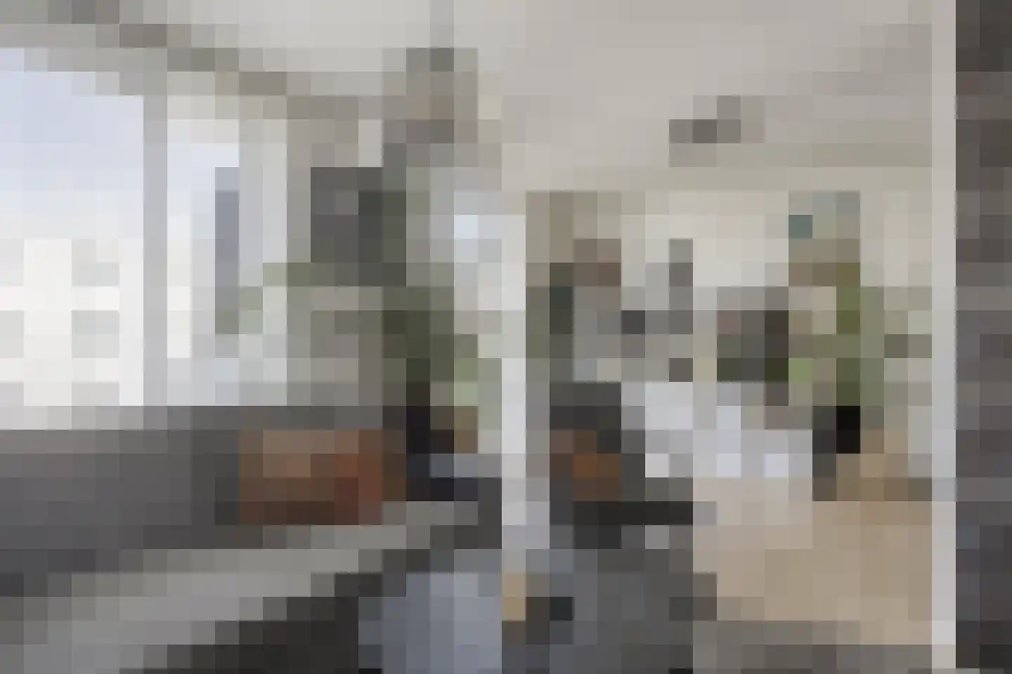 Van Harmelenstraat 101 Rotterdam thumbnail 6