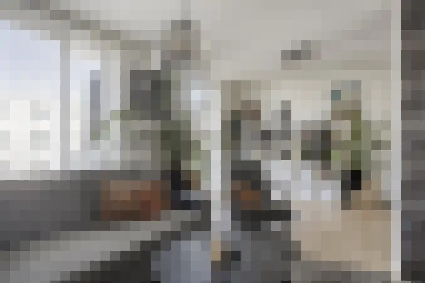 Van Harmelenstraat 101 Rotterdam thumbnail 6