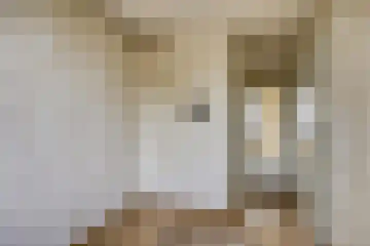 Van Harmelenstraat 171 Rotterdam thumbnail 21