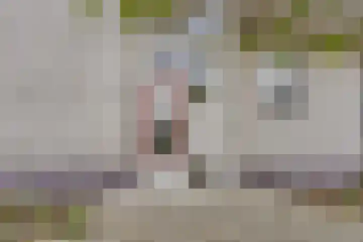 Van Harmelenstraat 171 Rotterdam thumbnail 4