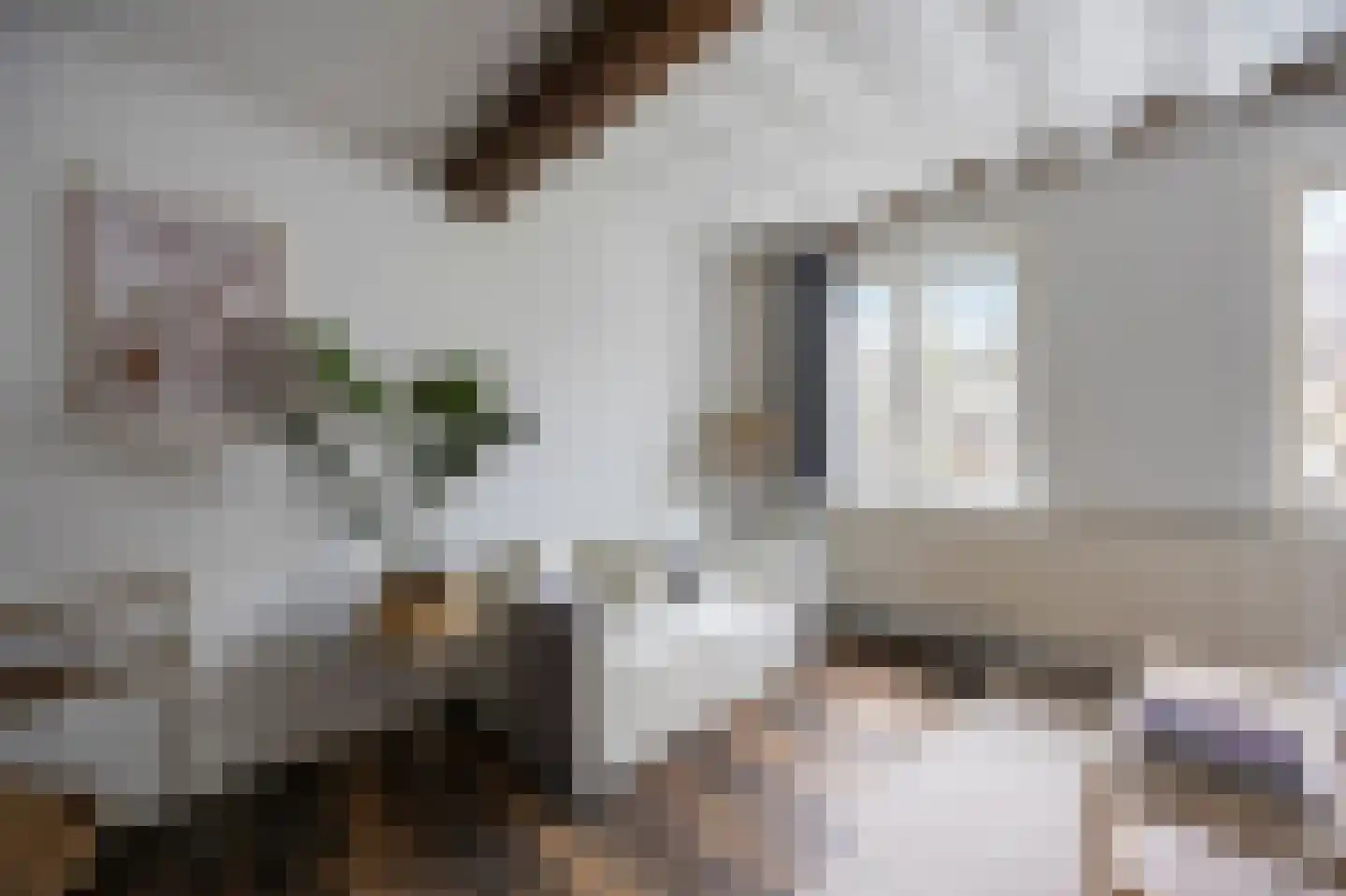 van Hasseltkade 13 B 01 Maastricht thumbnail 4