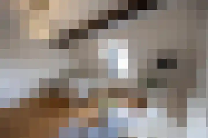 van Hasseltkade 13 B 01 Maastricht thumbnail 4