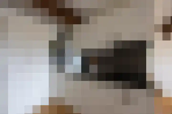 van Hasseltkade 13 B 01 Maastricht thumbnail 6