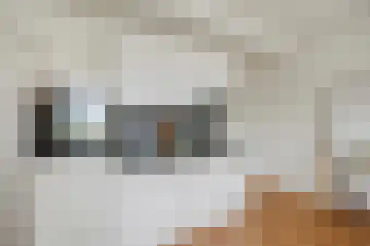 van Hasseltkade 13 B 01 Maastricht thumbnail 9
