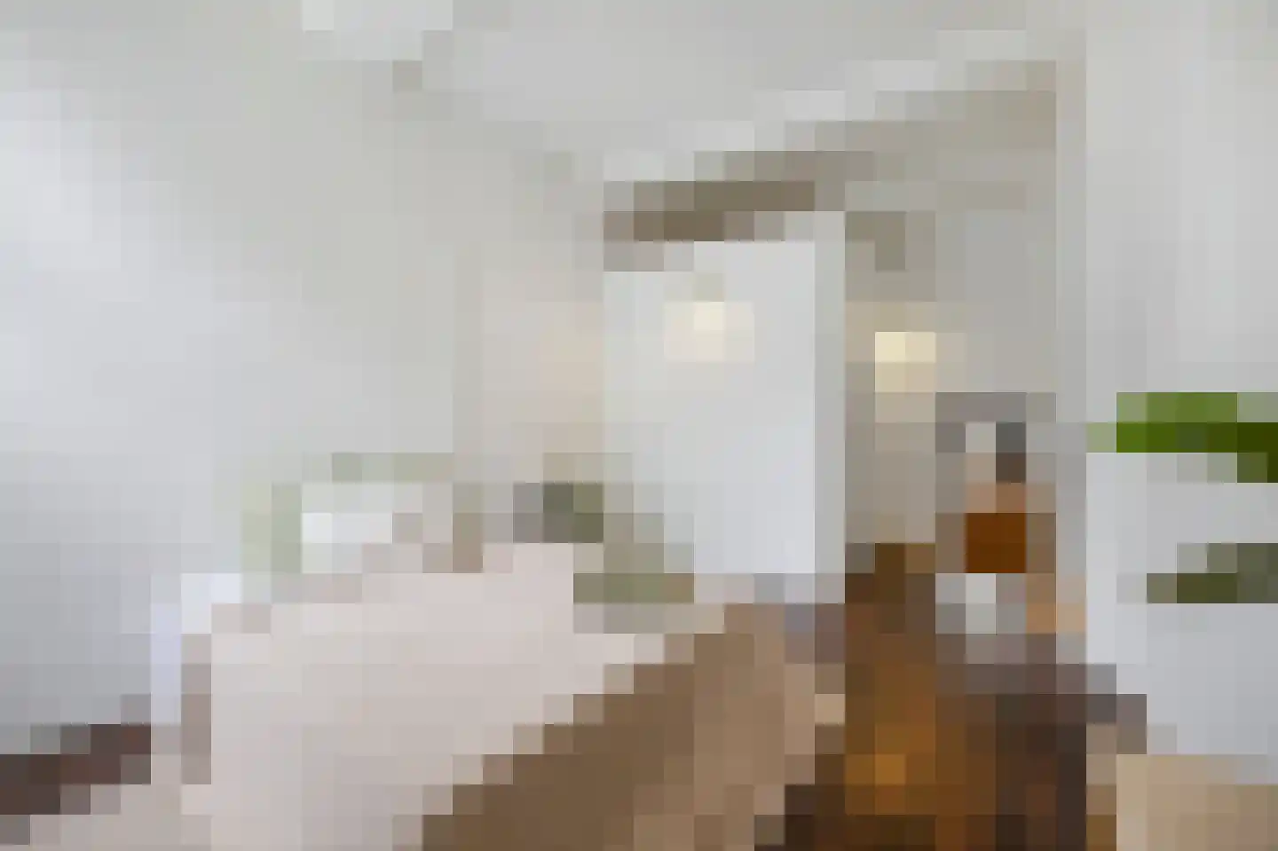 van Hasseltkade 13 D 04 Maastricht thumbnail 12