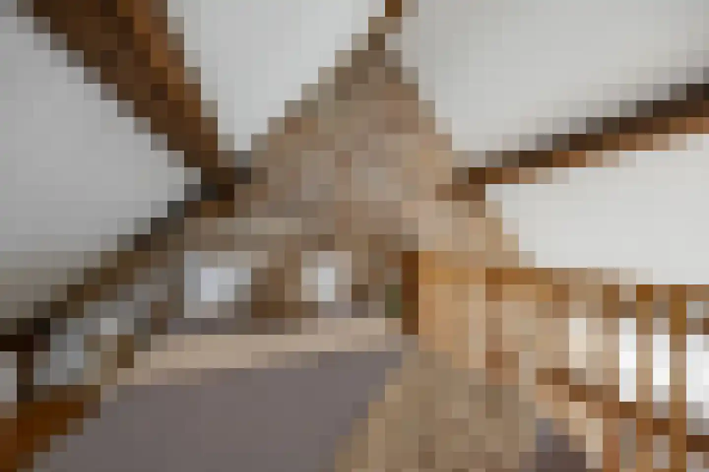 van Hasseltkade 13 E Maastricht thumbnail 13