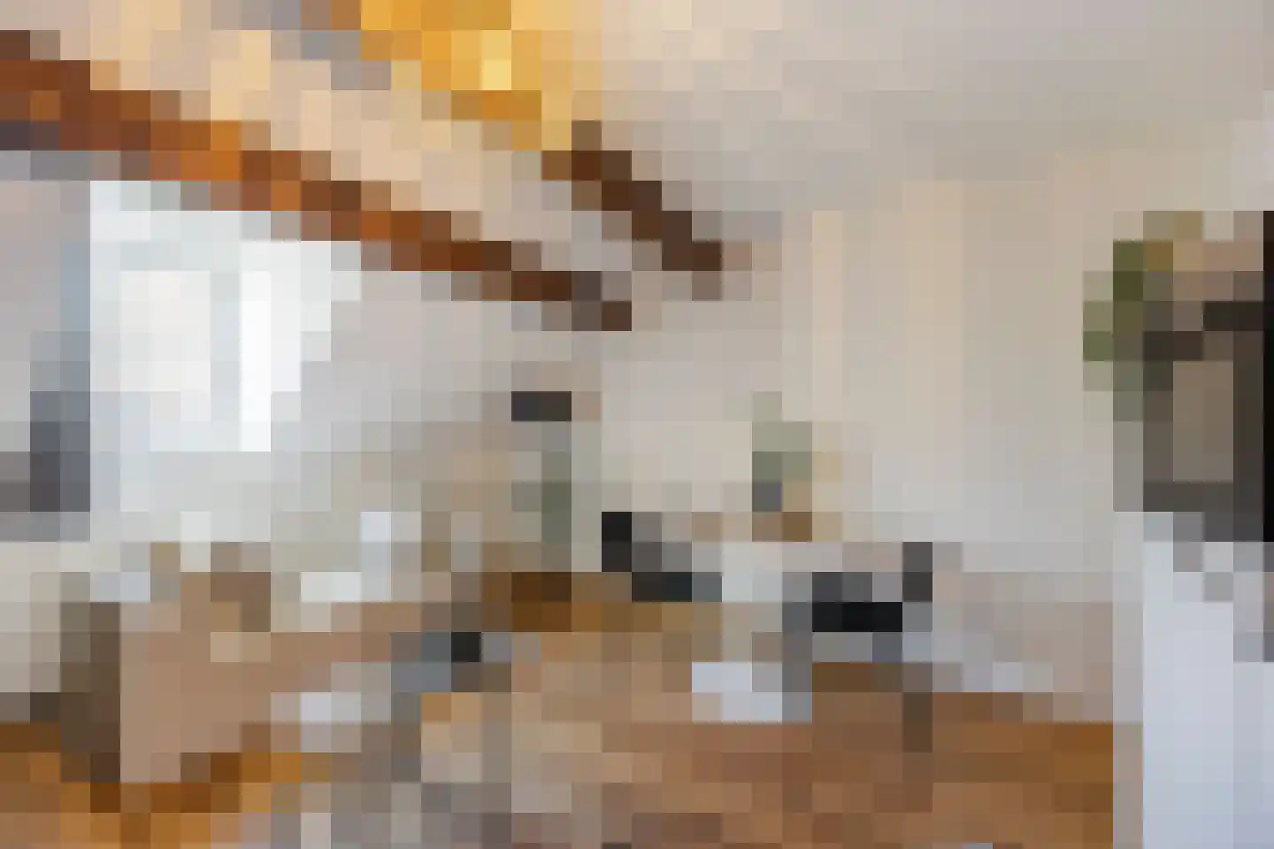 van Hasseltkade 13 E Maastricht thumbnail 4