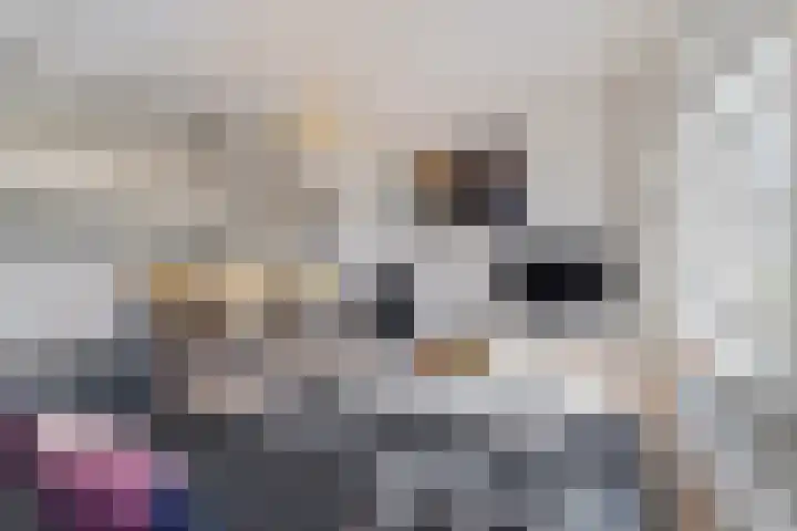 van Hasseltkade 14 D Maastricht thumbnail 10
