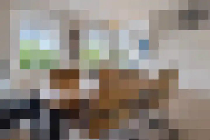 van Hasseltkade 14 D Maastricht thumbnail 11