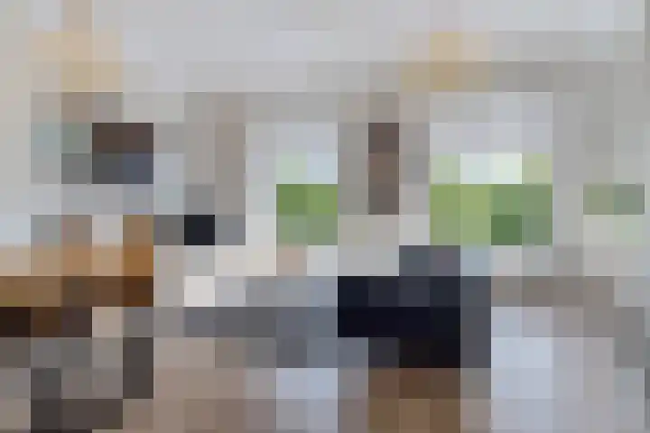 van Hasseltkade 14 D Maastricht thumbnail 14
