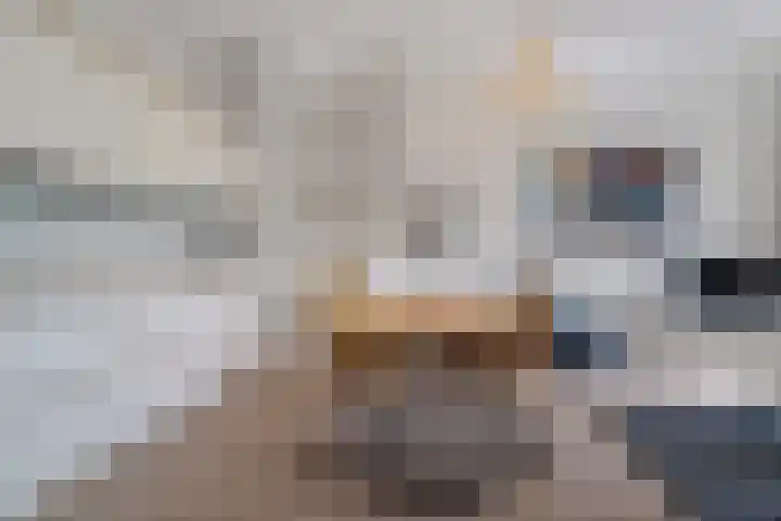 van Hasseltkade 14 D Maastricht thumbnail 15