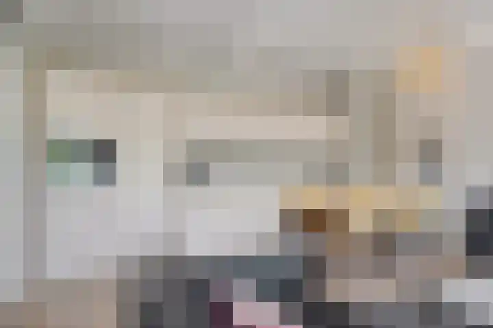 van Hasseltkade 14 D Maastricht thumbnail 16