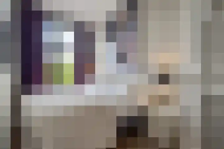 van Hasseltkade 14 D Maastricht thumbnail 20