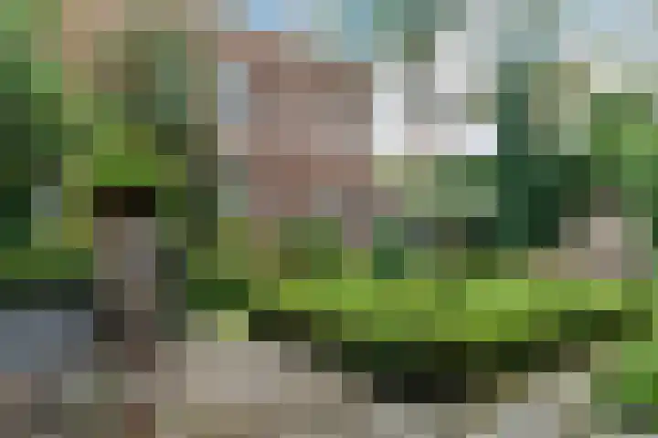 van Hasseltkade 14 D Maastricht thumbnail 25