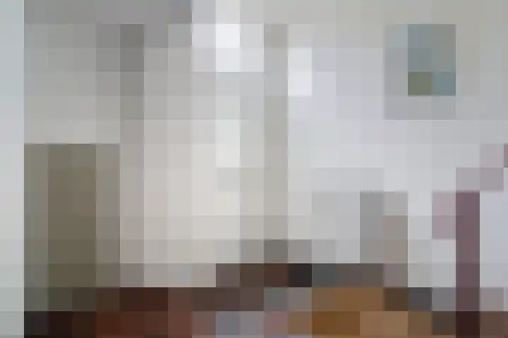 van Hasseltkade 14 D Maastricht thumbnail 6