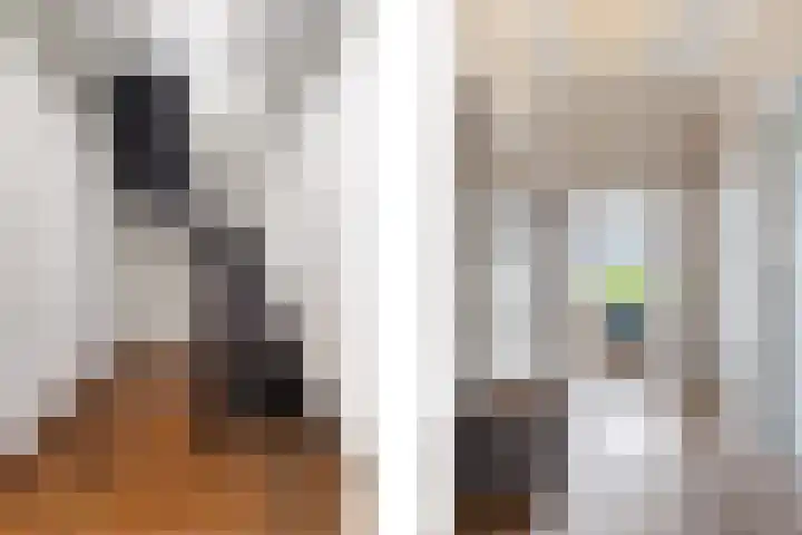 van Hasseltkade 14 D Maastricht thumbnail 8