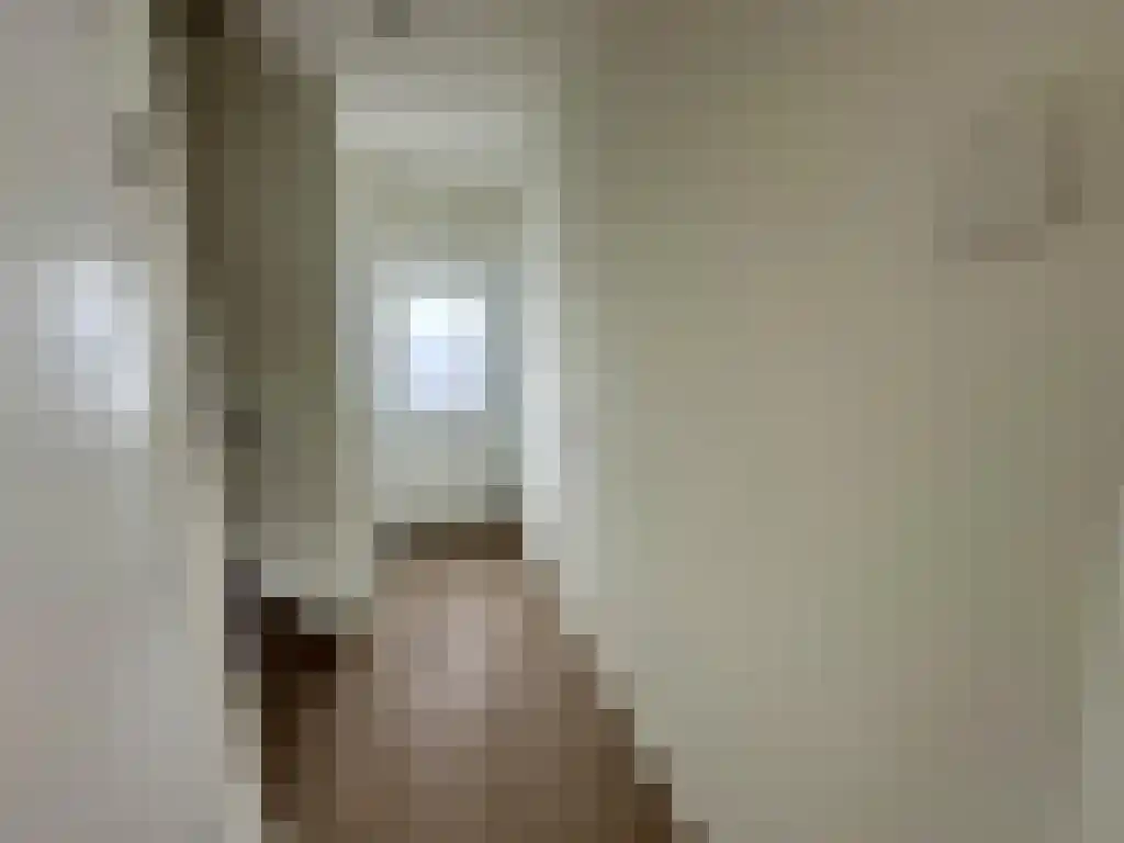 Van Hasseltlaan 24 Hilversum thumbnail 5