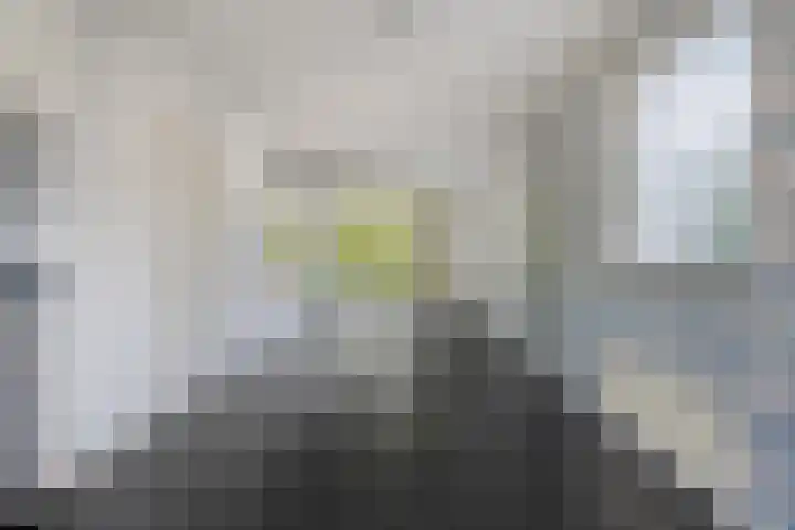 Van Hasseltmarke 3 Zwolle thumbnail 10