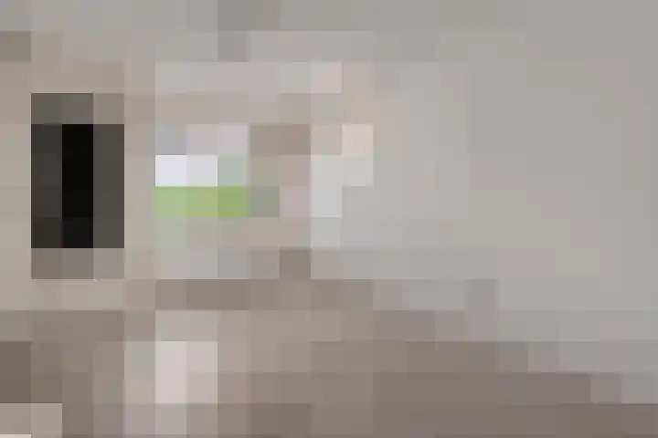 Van Hasseltmarke 3 Zwolle thumbnail 16