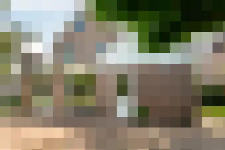 Van Hasseltmarke 3 Zwolle thumbnail 38