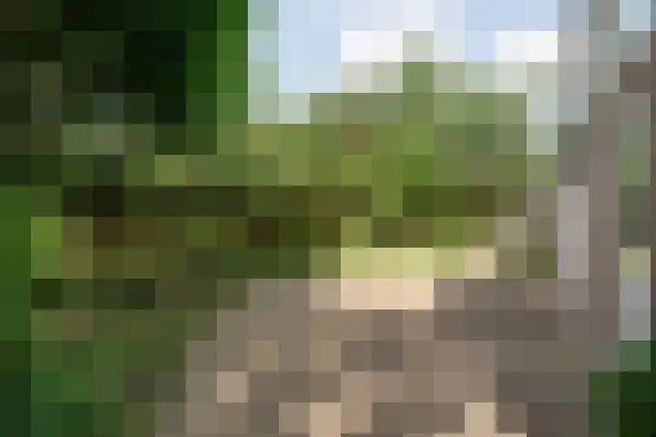 Van Hasseltmarke 3 Zwolle thumbnail 39