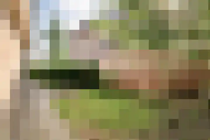 Van Hasseltmarke 3 Zwolle thumbnail 41