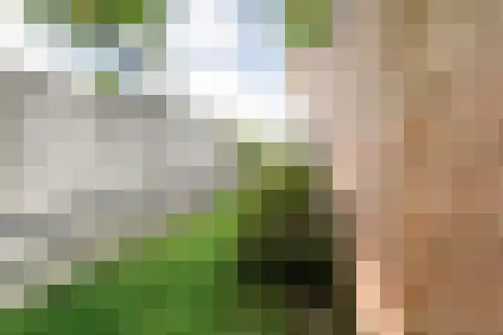 Van Hasseltmarke 3 Zwolle thumbnail 42