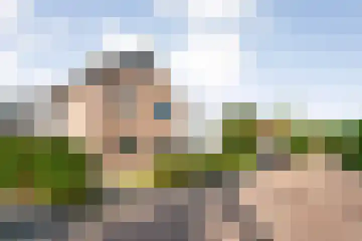 Van Hasseltmarke 3 Zwolle thumbnail 43